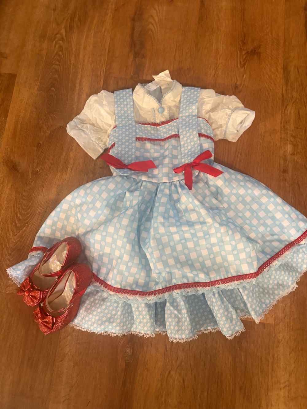 Kids Dorthy Costume with Red Shoes